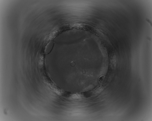 X0000101980708200807181125