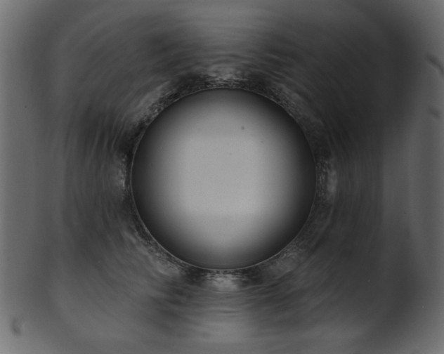 X0000101980710200807181125