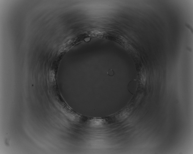 X0000101980711200807181125