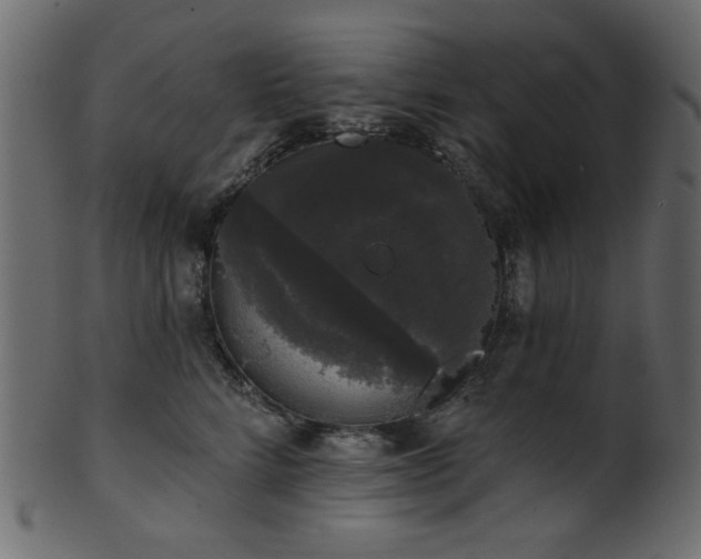 X0000101980712200807181125