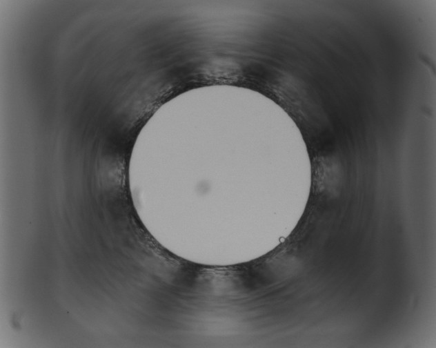 X0000101980713200807181125