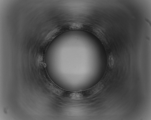 X0000101980714200807181125