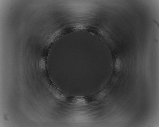 X0000101980715200807181125