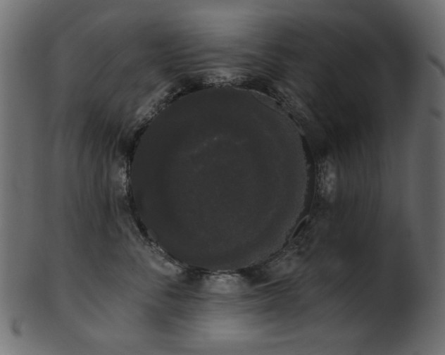 X0000101980716200807181125