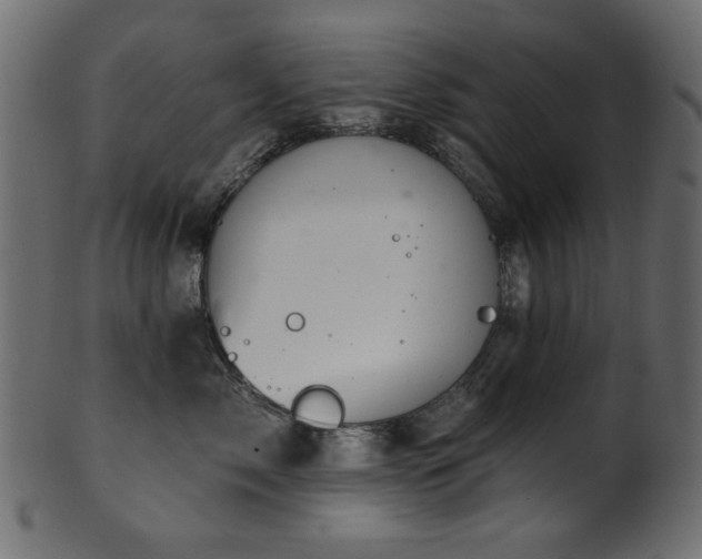 X0000101980717200807181125