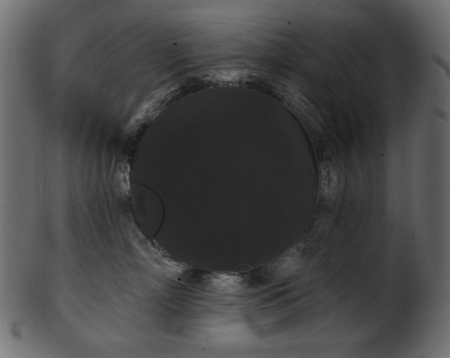 X0000101980718200807181125