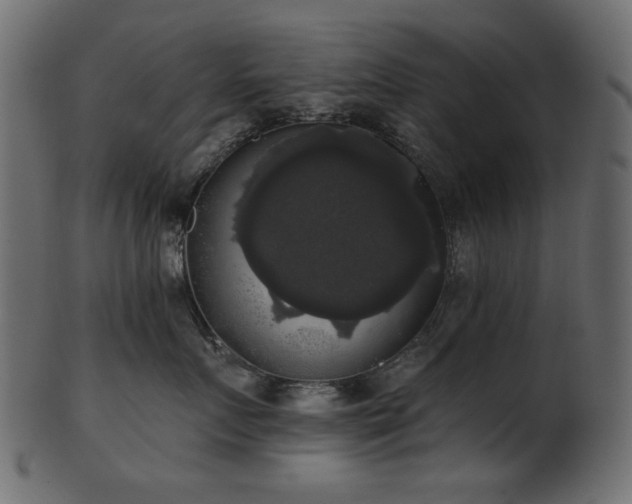 X0000101980719200807181125