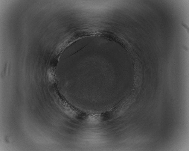 X0000101980720200807181125