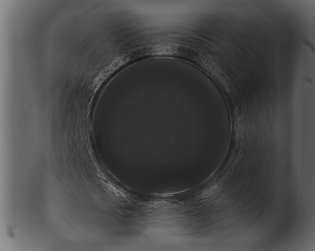 X0000101980721200807181124