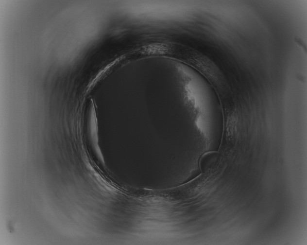 X0000101980722200807181124