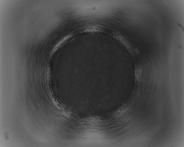 X0000101980724200807181124