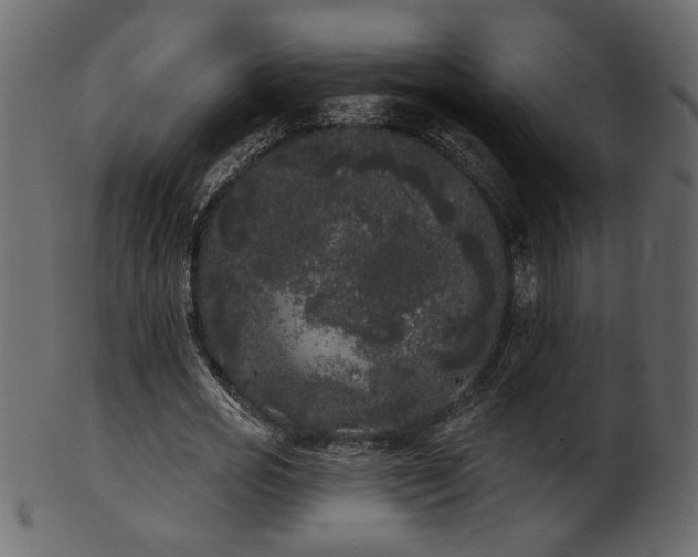 X0000101980725200807181124