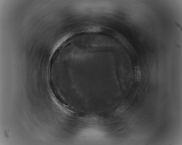 X0000101980726200807181124