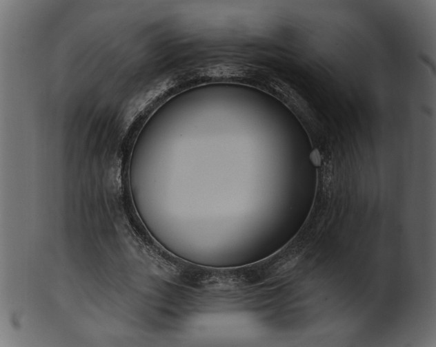 X0000101980727200807181124