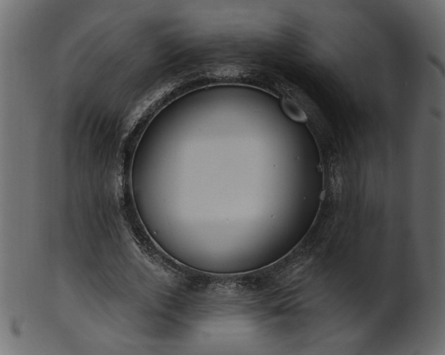 X0000101980728200807181124