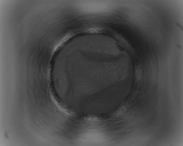 X0000101980730200807181124