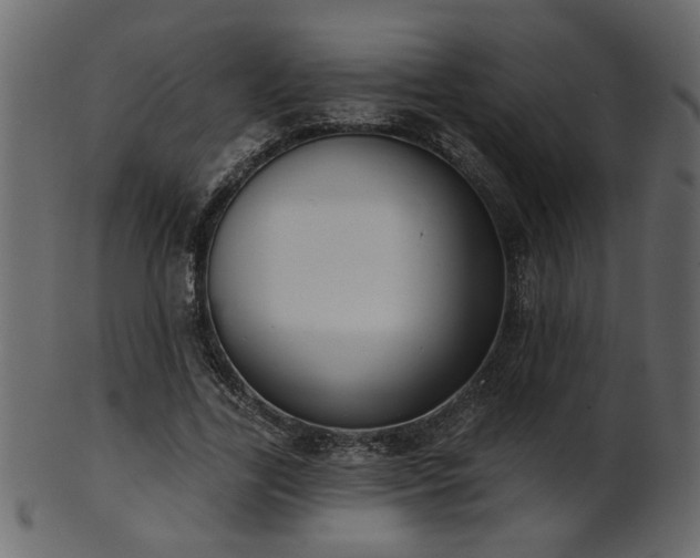 X0000101980731200807181124