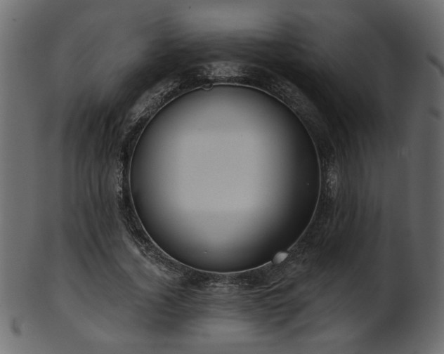 X0000101980732200807181124