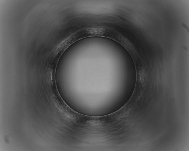 X0000101980733200807181124