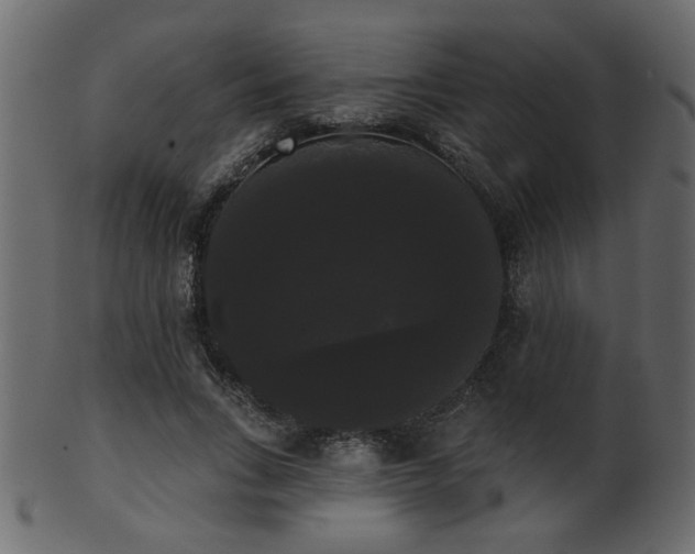 X0000101980735200807181124