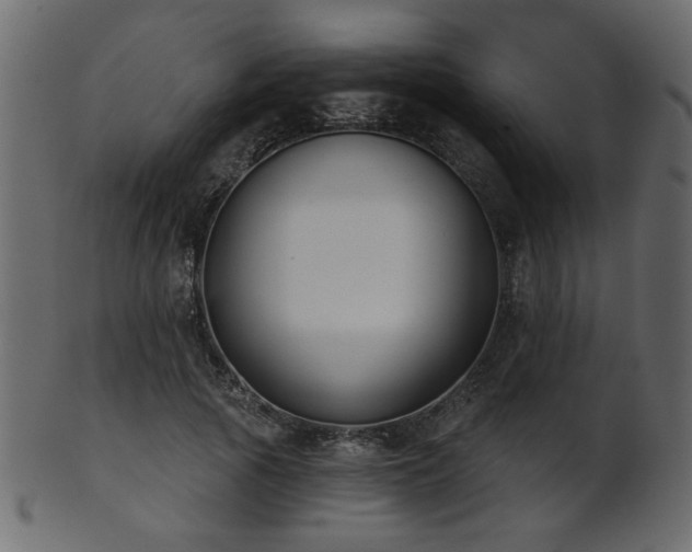 X0000101980737200807181124