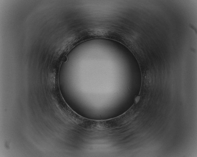 X0000101980739200807181124