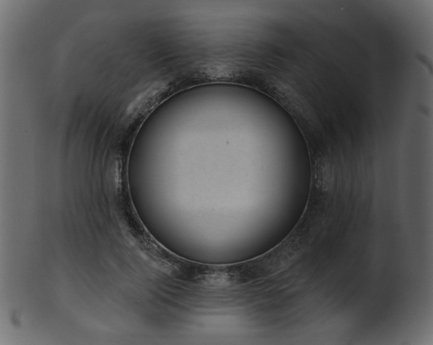 X0000101980740200807181124