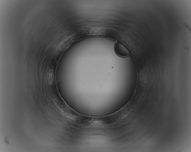 X0000101980741200807181124