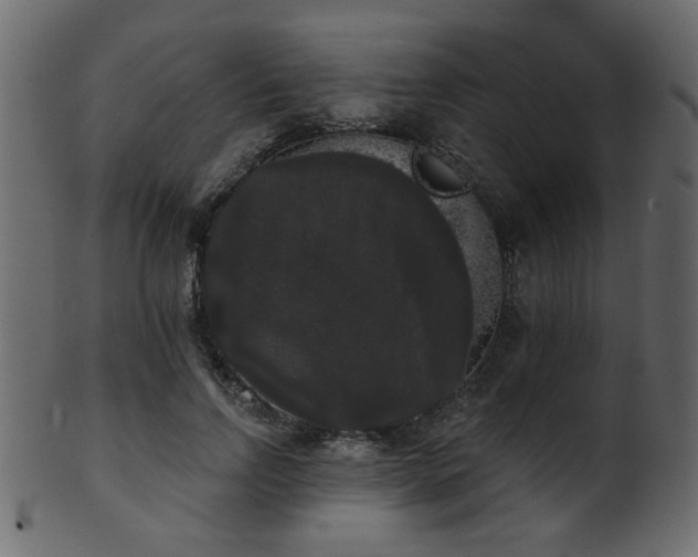 X0000101980742200807181124