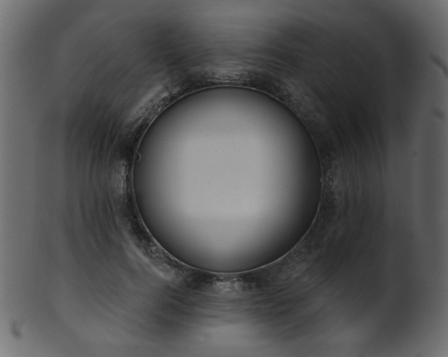 X0000101980744200807181124