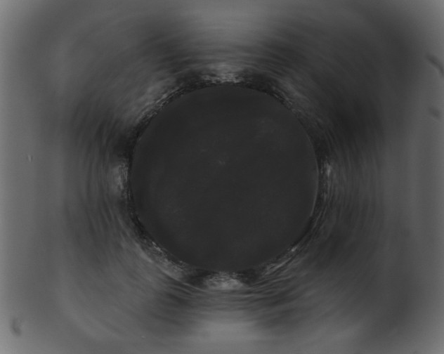 X0000101980747200807181124