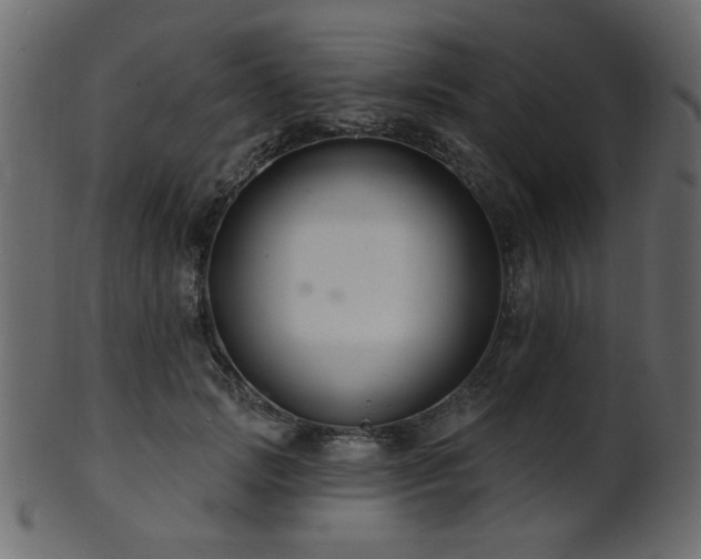 X0000101980749200807181124