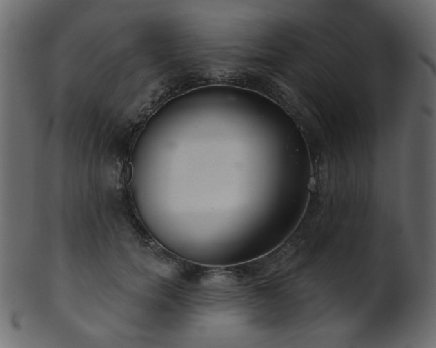 X0000101980750200807181124