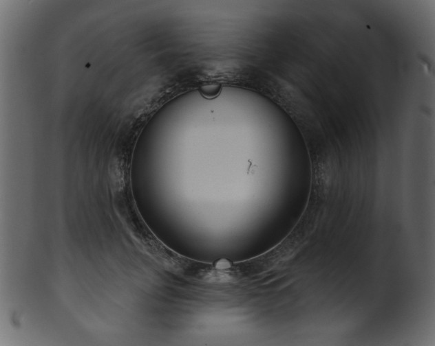 X0000101980751200807181124