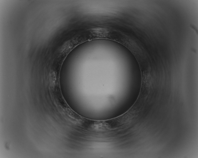 X0000101980752200807181124