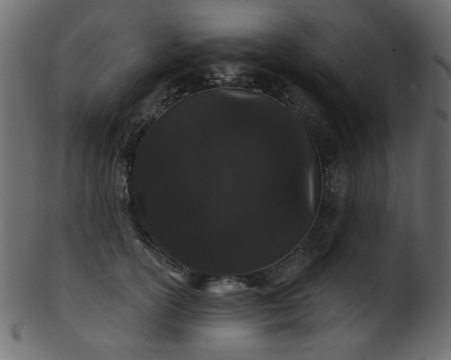 X0000101980754200807181124