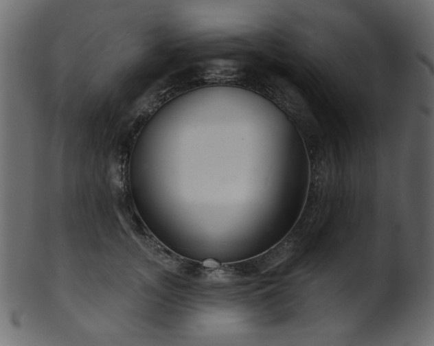 X0000101980755200807181125