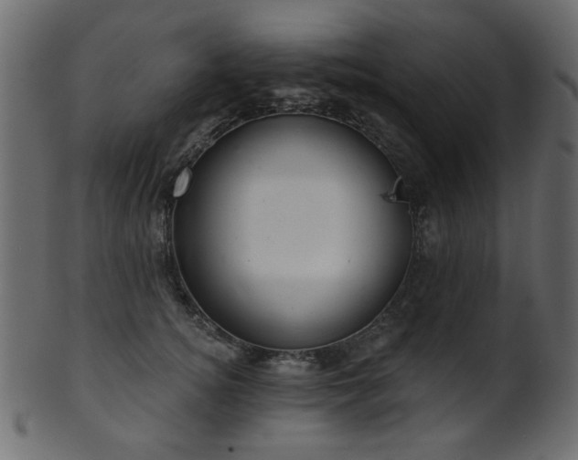 X0000101980756200807181125