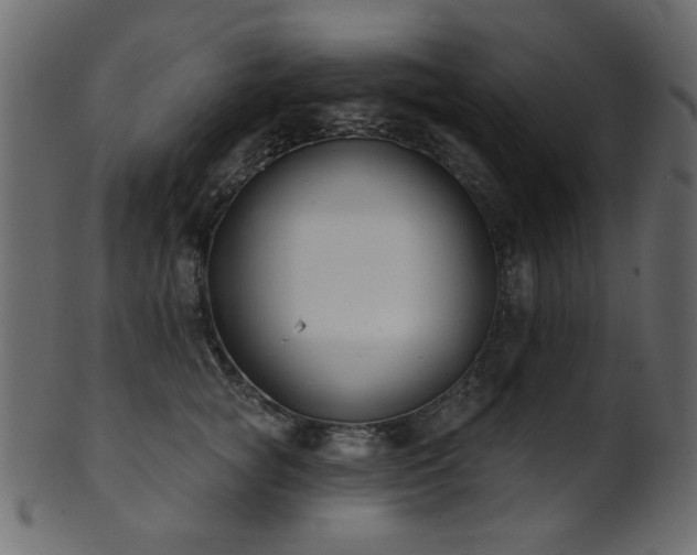 X0000101980757200807181125