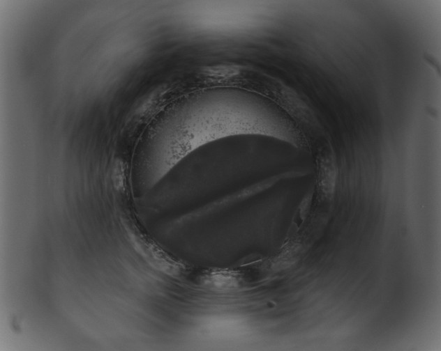 X0000101980758200807181125