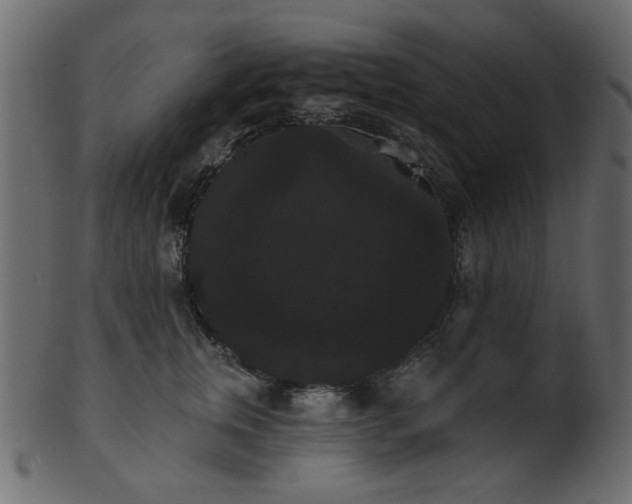 X0000101980759200807181125