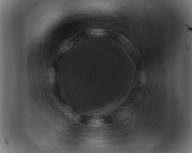 X0000101980760200807181125