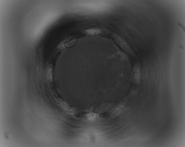 X0000101980762200807181125