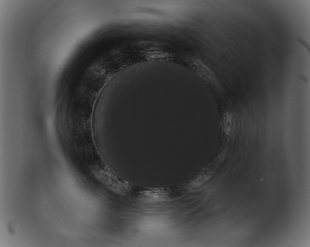 X0000101980763200807181125