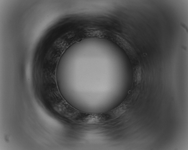 X0000101980764200807181125