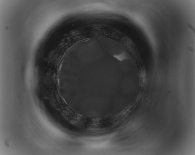 X0000101980765200807181125