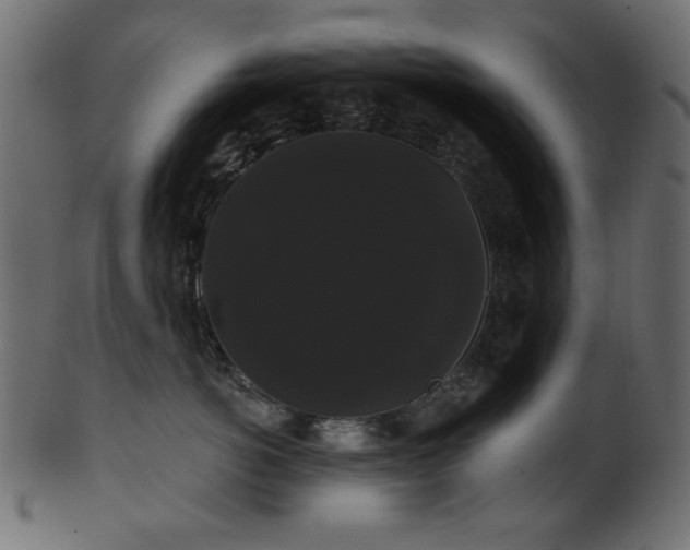 X0000101980766200807181125