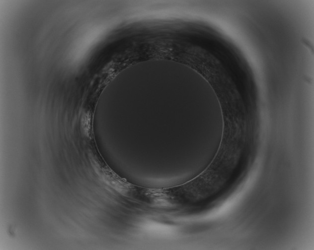 X0000101980767200807181125