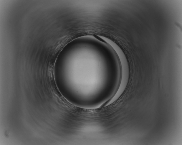 X0000101980768200807181125