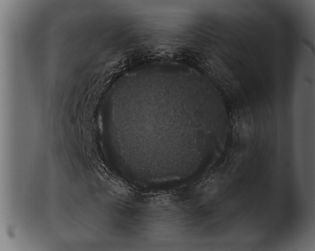 X0000101980769200807181124